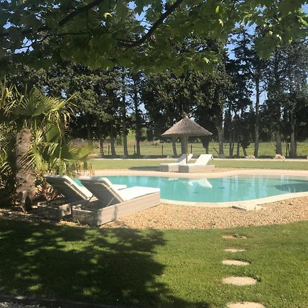 Mas Des Limites Bed and Breakfast Rognonas Esterno foto