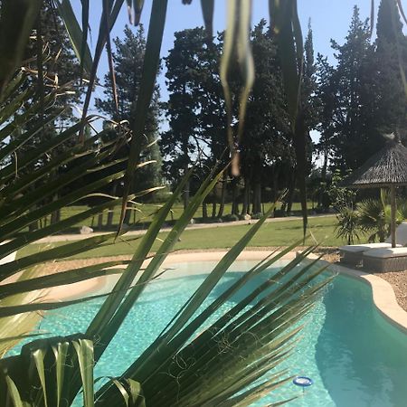 Mas Des Limites Bed and Breakfast Rognonas Esterno foto