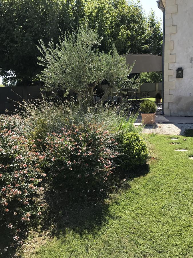 Mas Des Limites Bed and Breakfast Rognonas Esterno foto